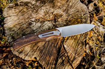 Image de la bannière