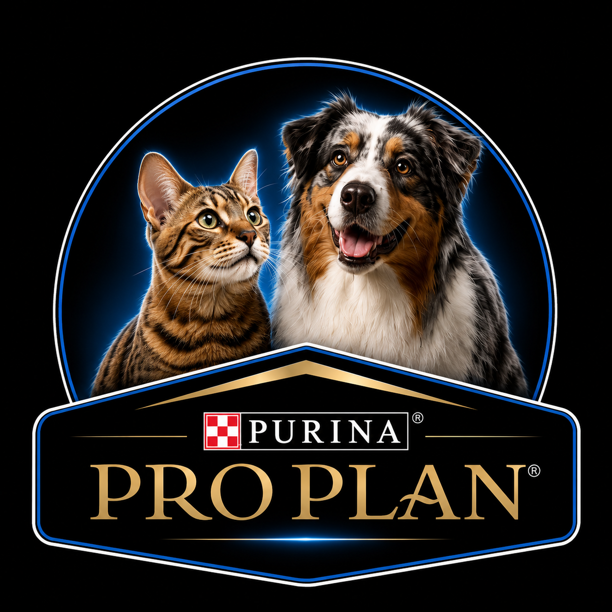 Pro Plan